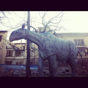Dinosauri in carne e ossa - Firenze